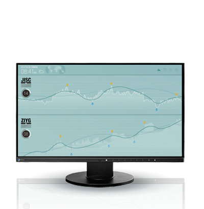 FlexScan EV2450