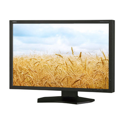 NEC PA242W